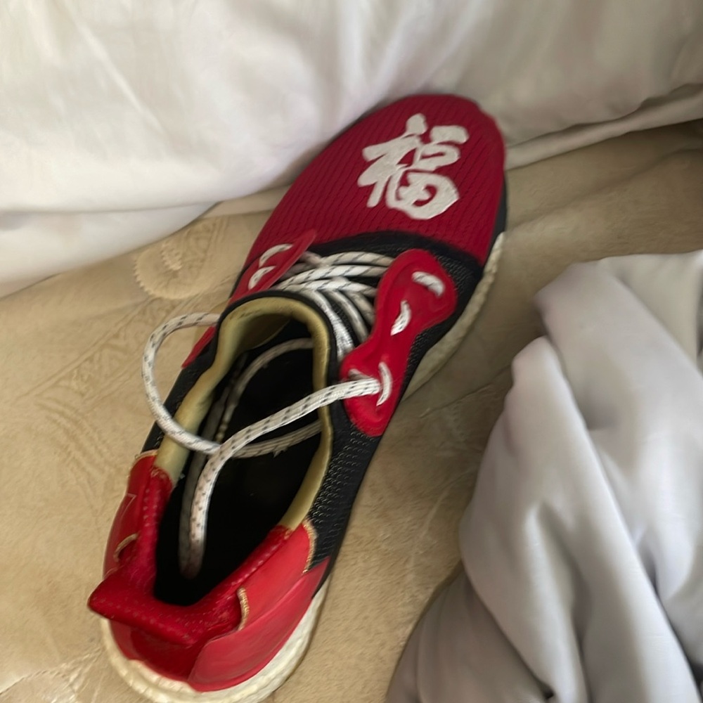 human race Chinese new year